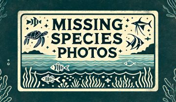 0_Missing_Species