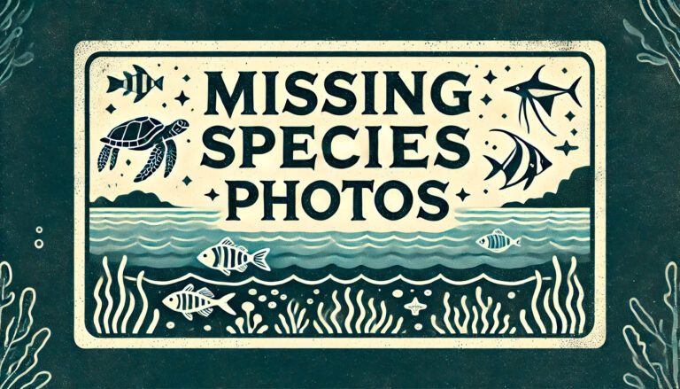 Photograph not available