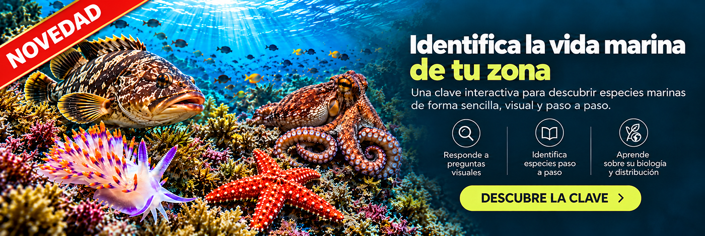 Identificar especies por rasgos visuales
