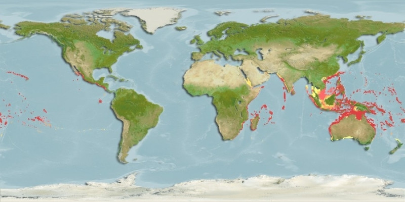 Distribución predicha de Acanthurus triostegus