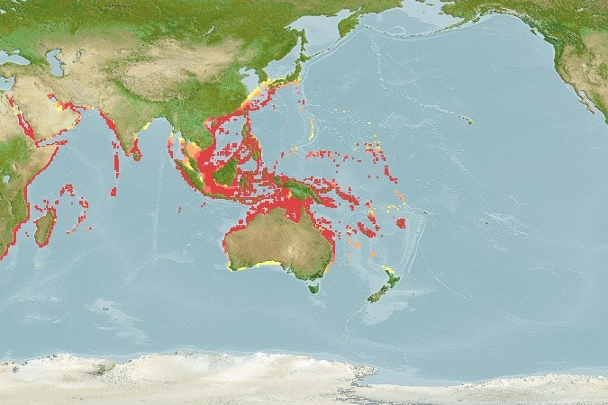 Distribución predicha de Aethaloperca rogaa
