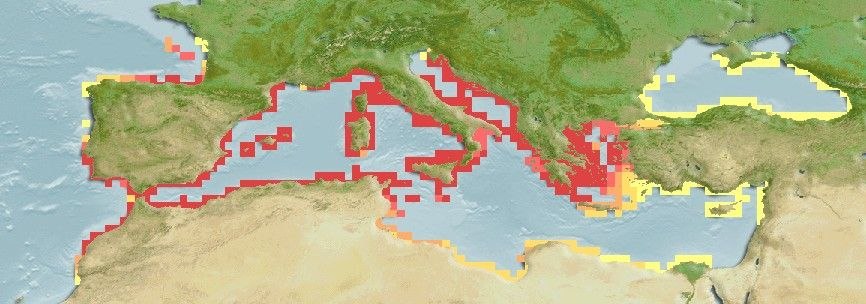 Distribución predicha de Aidablennius sphynx