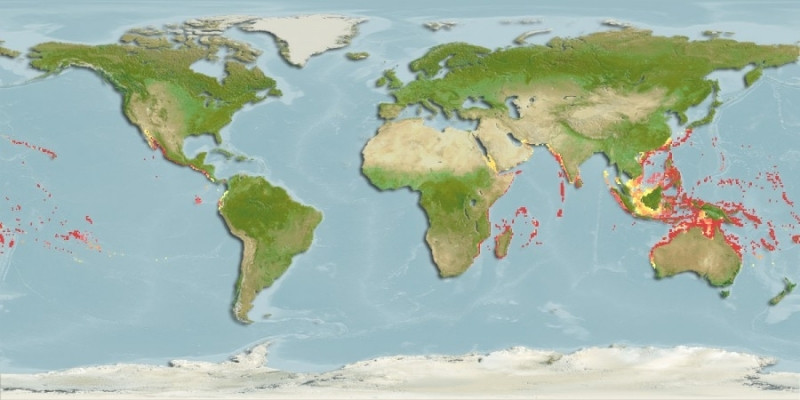 Distribución predicha de Canthigaster valentini