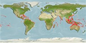 Distribución predicha de Caranx lugubris