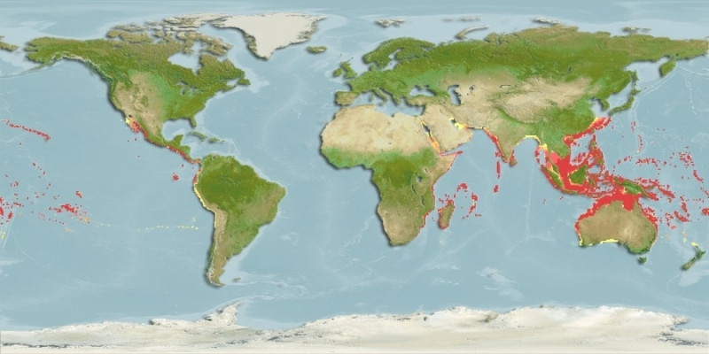 Distribución predicha de Caranx melampygus