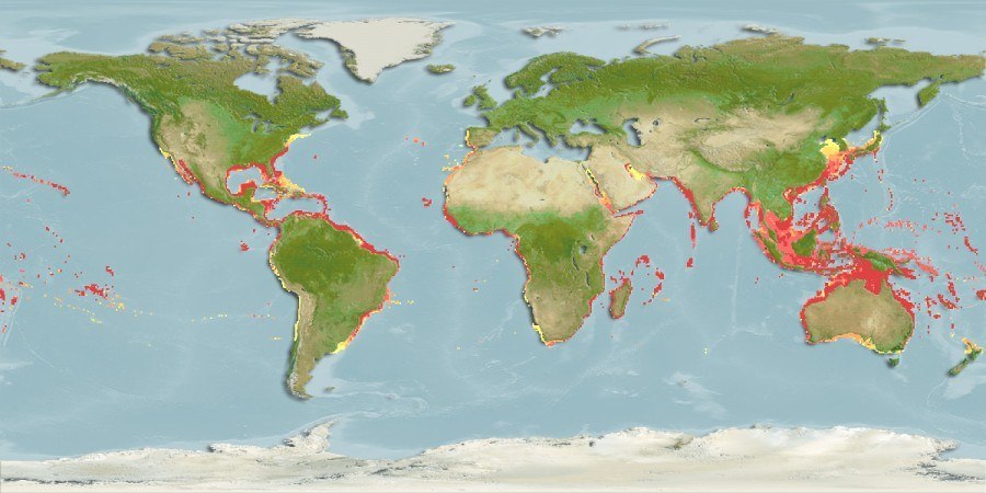 Predicted distribution of Carcharhinus leucas
