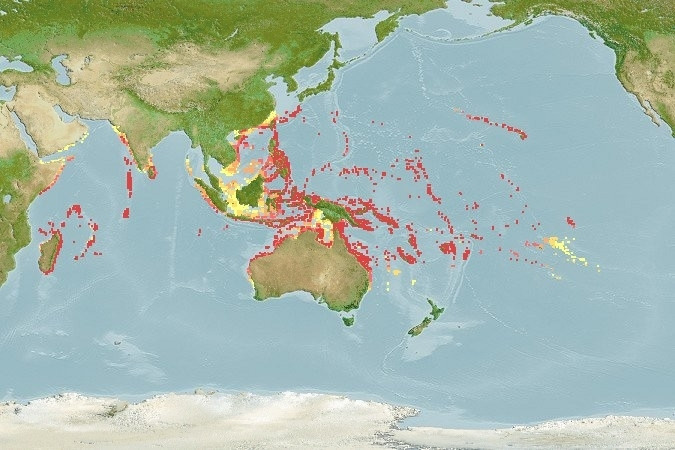 Predicted distribution of Chaetodon citrinellus