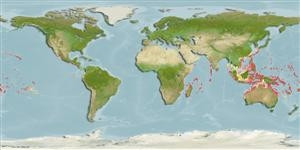 Distribución predicha de Chaetodon ulietensis
