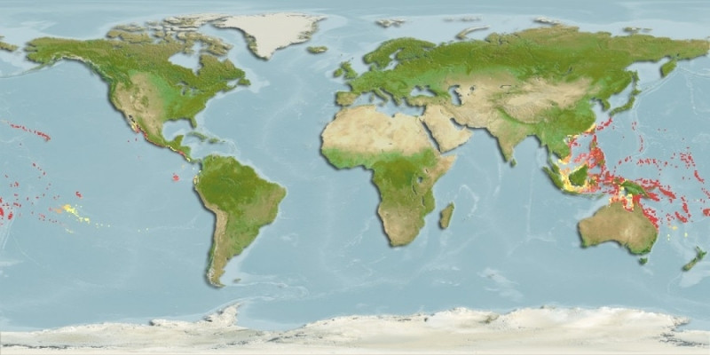 Distribución predicha de Chlorurus microrhinos