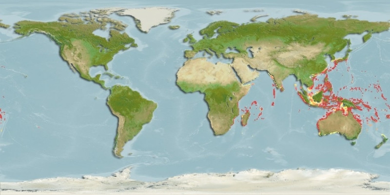 Distribución predicha de Choriaster granulatus
