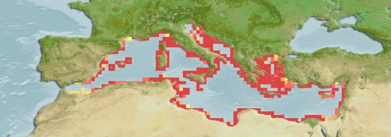 Distribución predicha de Cladocora caespitosa