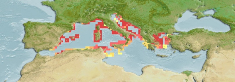 Distribución predicha de Clathrina clathrus