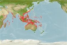 Predicted distribution of Diagramma pictum