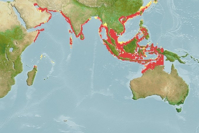 Distribución predicha de Epinephelus bleekeri