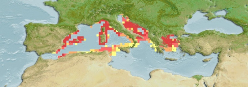 Distribución predicha de Eunicella cavolini
