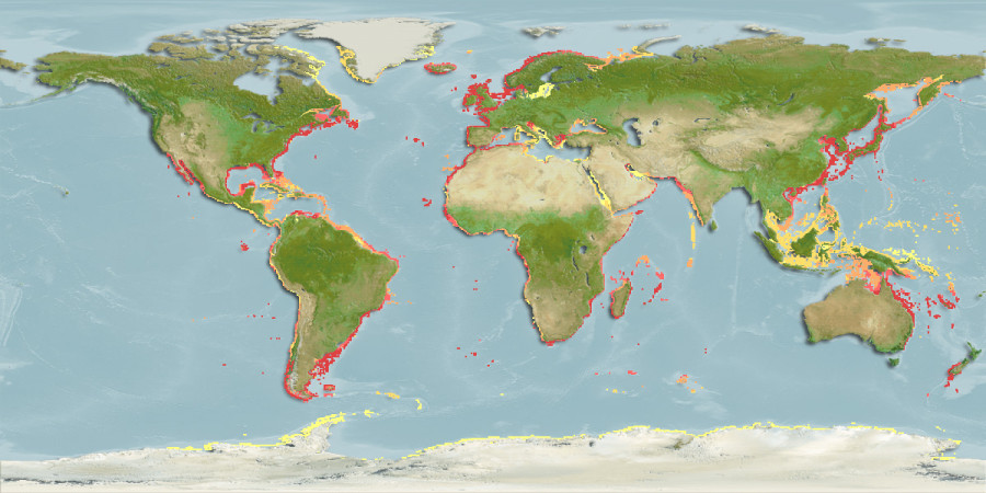 Distribución predicha de Eupolymnia nebulosa