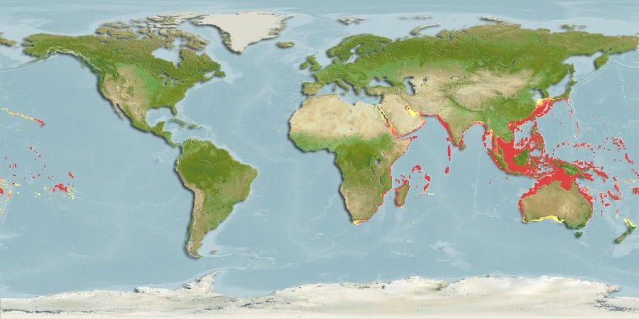 Distribución predicha de Euthynnus affinis