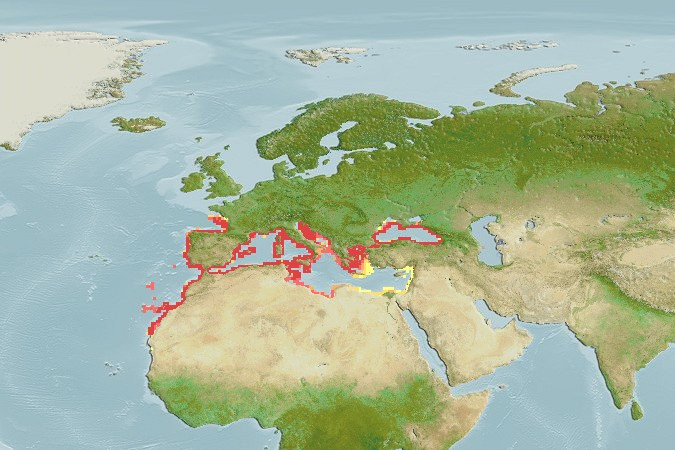Distribución predicha de Gymnammodytes cicerelus
