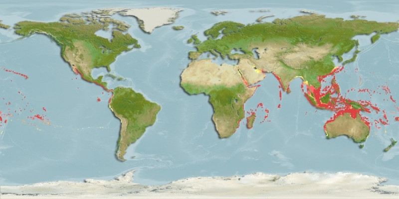 Predicted distribution of Heniochus acuminatus