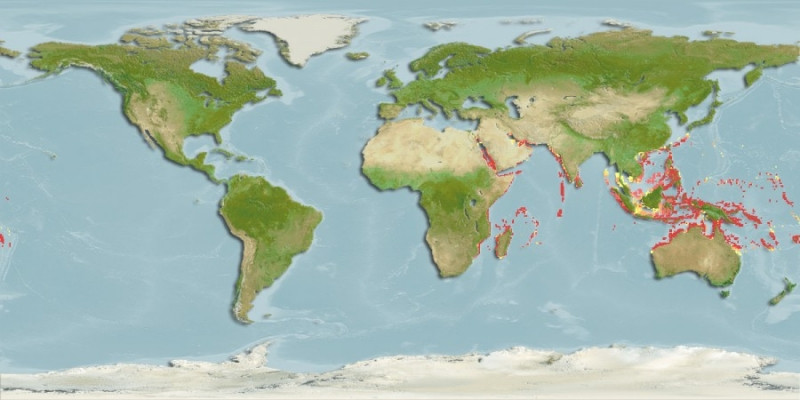 Distribución predicha de Hipposcarus harid