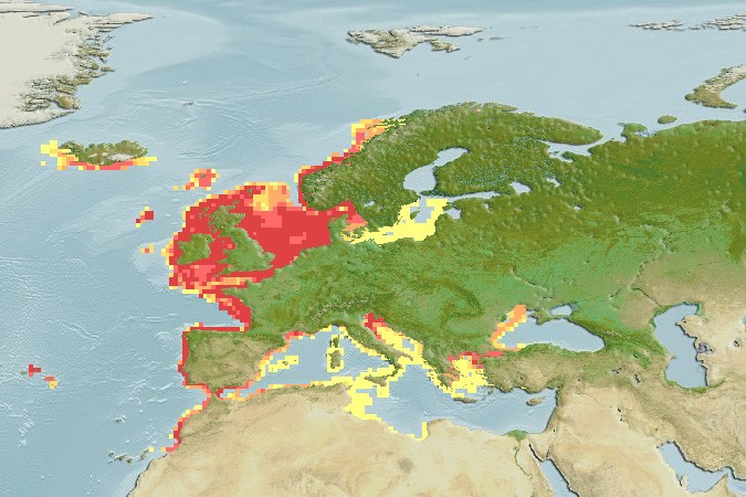 Distribución predicha de Homarus gammarus