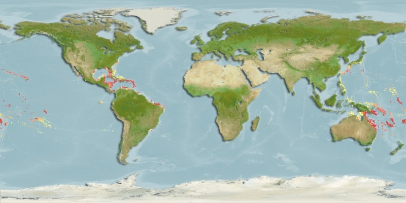 Distribución predicha de Linckia guildingi