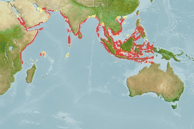 Predicted distribution of Lutjanus bengalensis