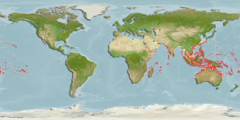 Predicted distribution of Lutjanus monostigma