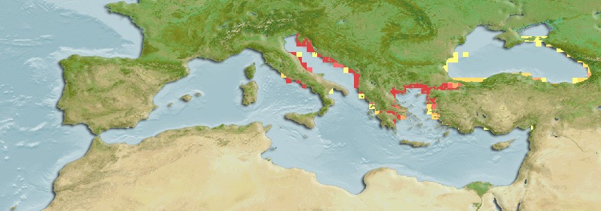 Distribución predicha de Microlipophrys adriaticus