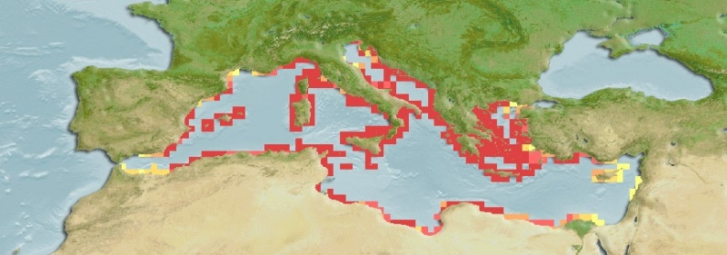 Distribución predicha de Microlipophrys nigriceps