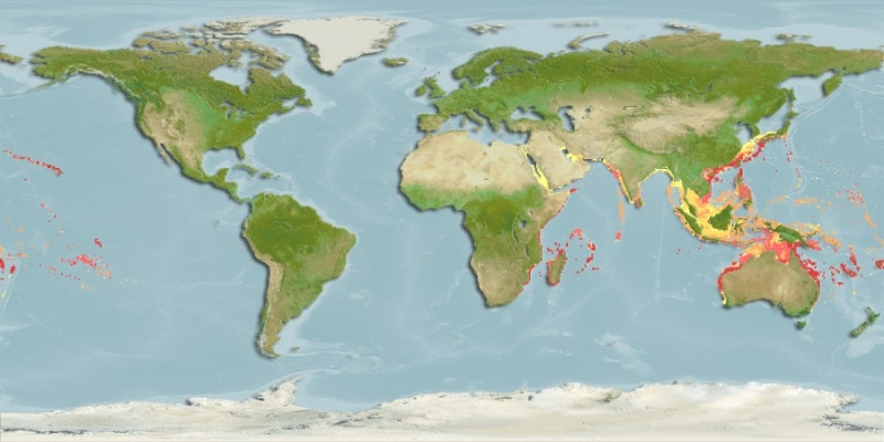 Distribución predicha de Monotaxis grandoculis