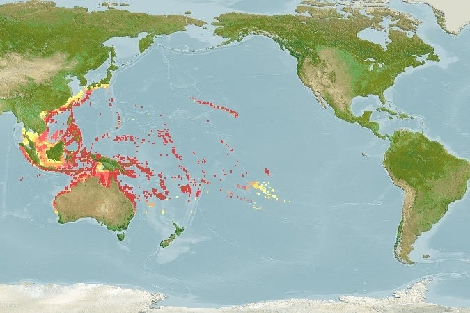 Predicted distribution of Naso lituratus