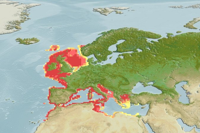 Distribución predicha de Palinurus elephas