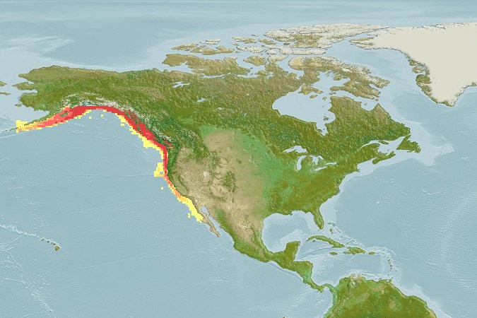 Distribución predicha de Pandalus platyceros