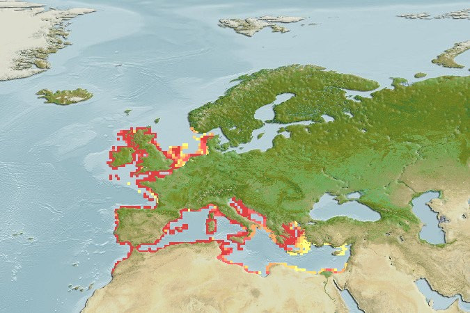 Distribución predicha de Parablennius gattorugine