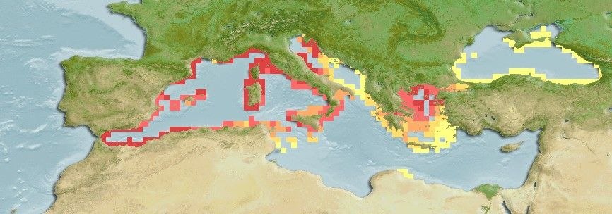 Predicted distribution of Parablennius zvonimiri