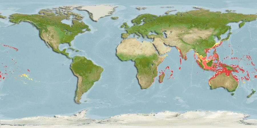 Distribución predicha de Paracirrhites arcatus
