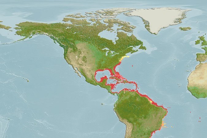 Distribución predicha de Scorpaena plumieri