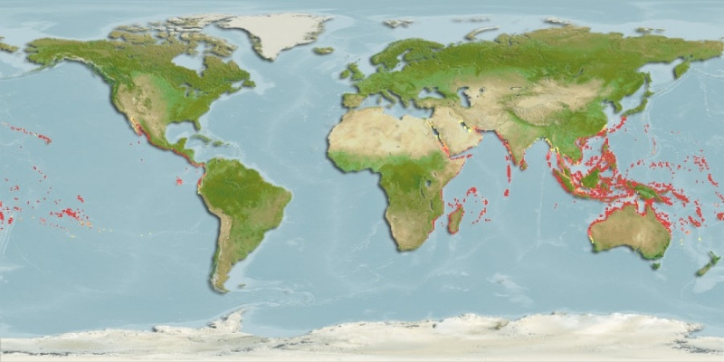Distribución predicha de Trachinotus baillonii