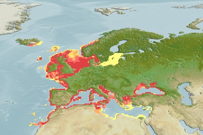 Distribución predicha de Trachinus draco