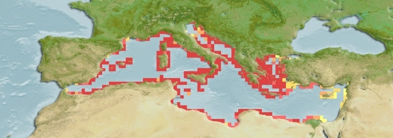 Distribución predicha de Tripterygion tripteronotum