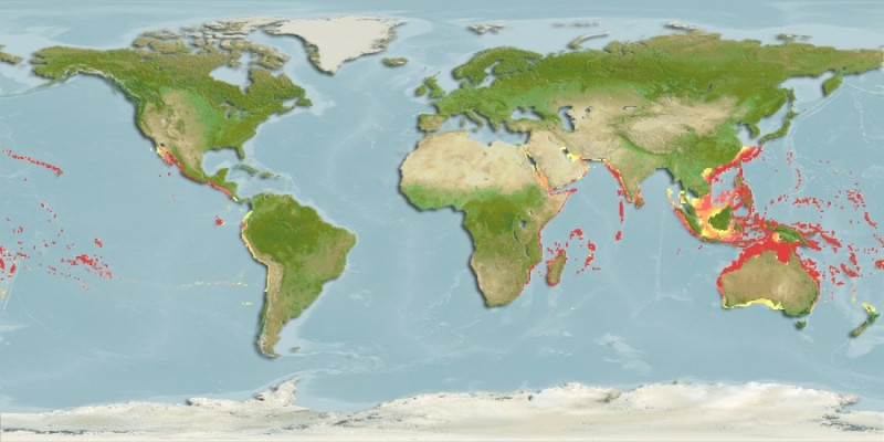 Distribución predicha de Variola louti