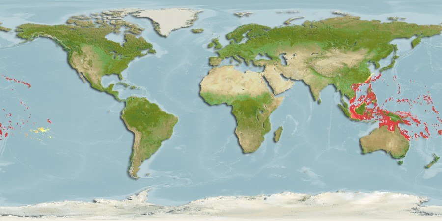 Distribución predicha de Zebrasoma flavescens