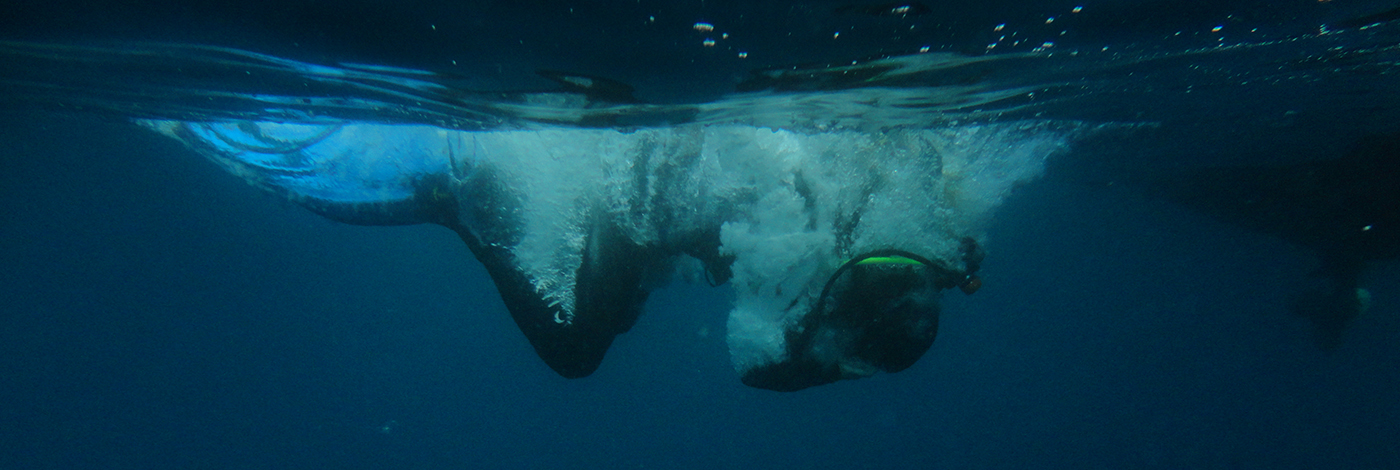 subdiversion